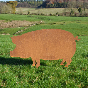 'Colin' The Rusty Pig