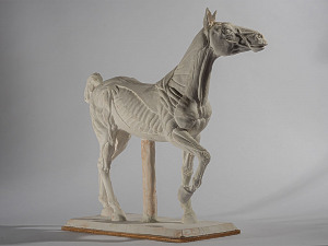 'Horse with Anatomy' Sir Eduardo Paolozzi 1924 - 2005