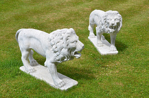 A pair of 19th century carved marble pacing lions