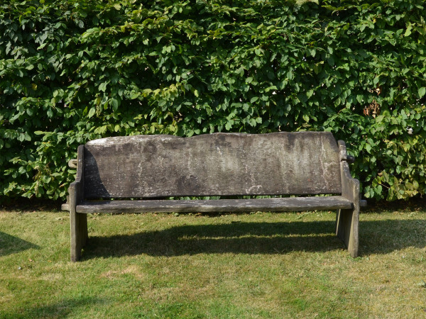 A long rustic elm plank seat 