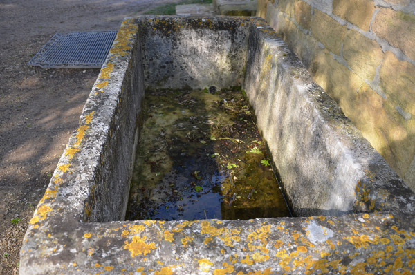 A large antique limestone trough with good weathering and patination