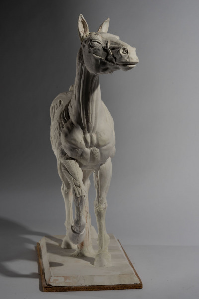 'Horse with Anatomy' Sir Eduardo Paolozzi 1924 - 2005